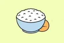 软件推荐[Android]稀饭动漫 v3.5.0 专为二次元爱好者打造的追番工具，去广告纯净版-哎呦不错往前方资源网