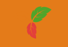 软件推荐[Windows]Trilium(开源笔记) v0.97.2 绿色版-哎呦不错往前方资源网