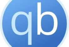 软件推荐[Windows]BT下载工具 qBittorrent 5.1.2.10 便携增强版-哎呦不错往前方资源网