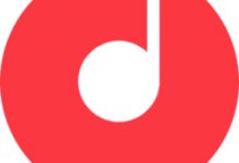 软件推荐[Windows]MusicTools v1.9.8.3 | 付费无损音乐下载软件-哎呦不错往前方资源网